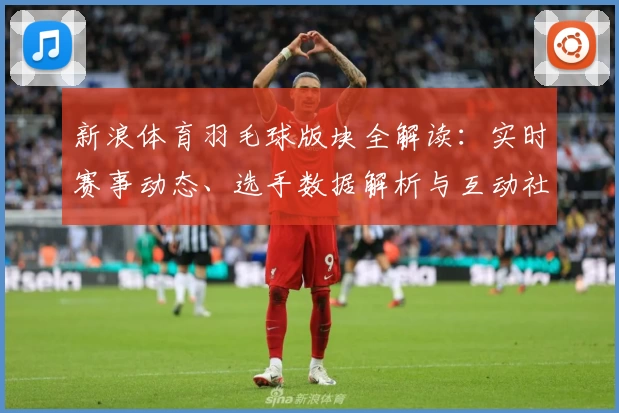 新浪体育羽毛球版块全解读：实时赛事动态、选手数据解析与互动社区体验