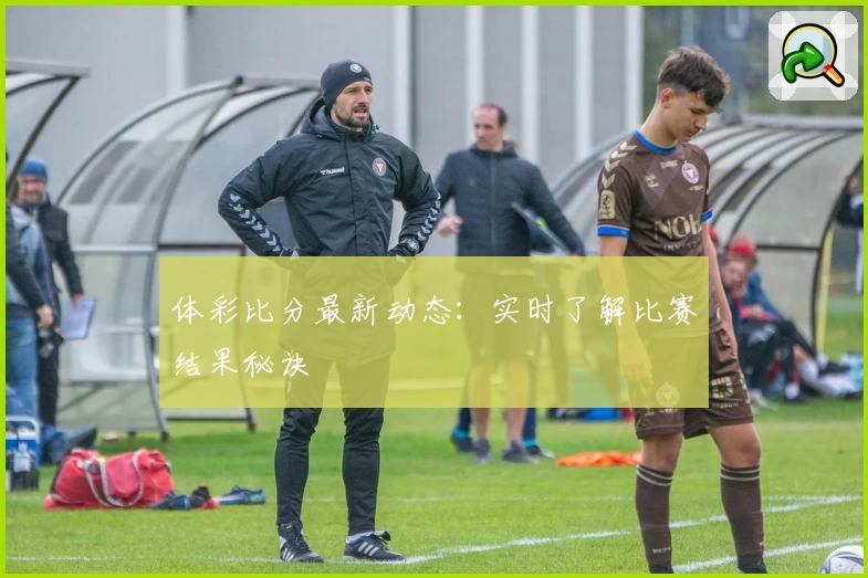 体彩比分最新动态：实时了解比赛结果秘诀