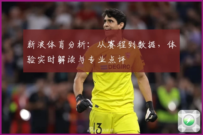 新浪体育分析：从赛程到数据，体验实时解读与专业点评