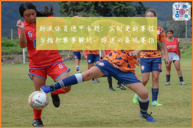 新浪体育德甲专题：实时更新赛程与精彩赛事解析，球迷必备观赛指南