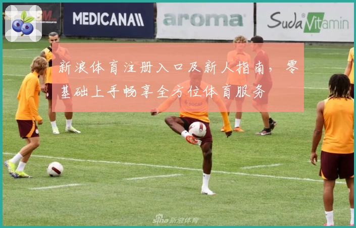 新浪体育注册入口及新人指南，零基础上手畅享全方位体育服务