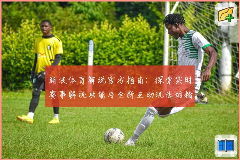 新浪体育解说官方指南：探索实时赛事解说功能与全新互动玩法的精彩体验