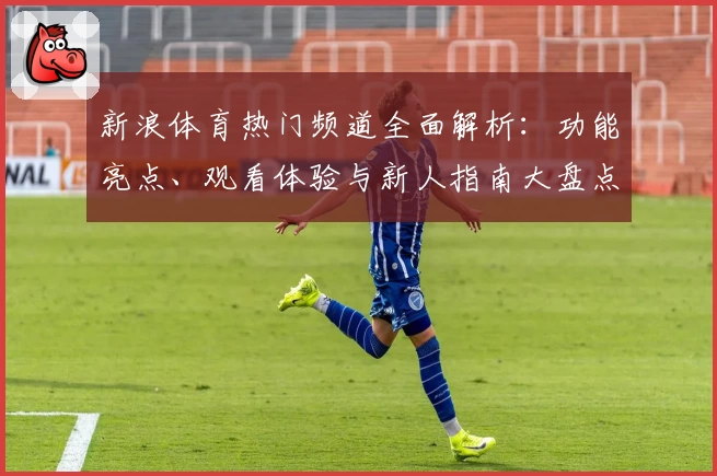 新浪体育热门频道全面解析:功能亮点、观看体验与新人指南大盘点