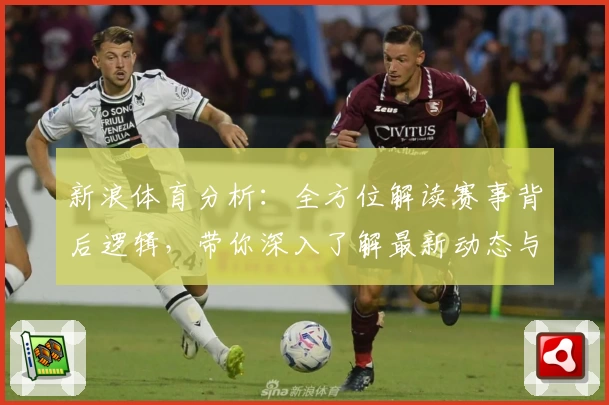 新浪体育分析：全方位解读赛事背后逻辑，带你深入了解最新动态与专业数据