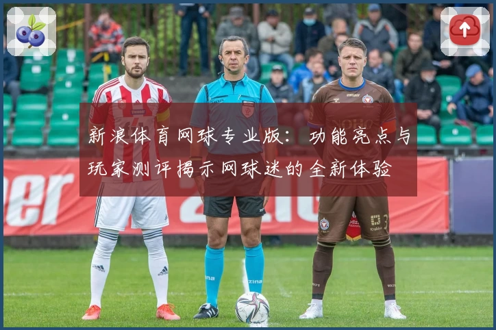 新浪体育网球专业版：功能亮点与玩家测评揭示网球迷的全新体验