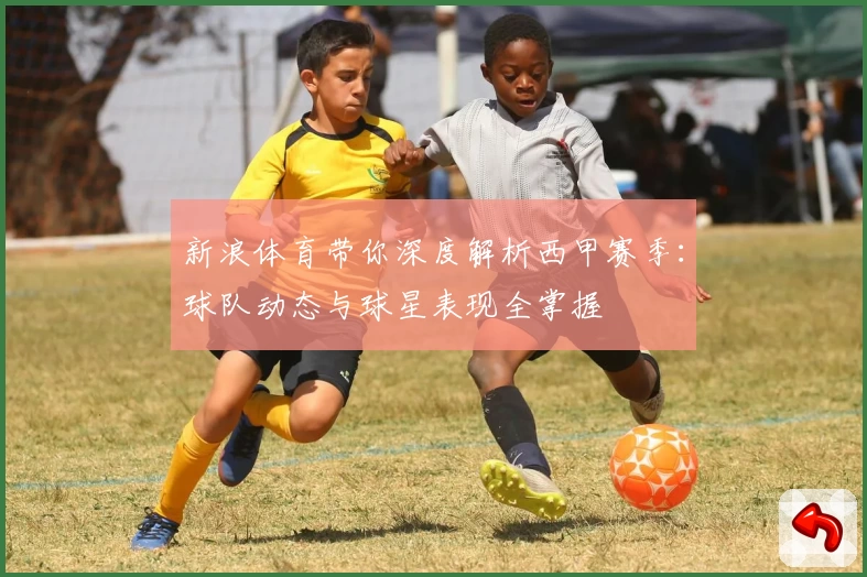 新浪体育带你深度解析西甲赛季：球队动态与球星表现全掌握