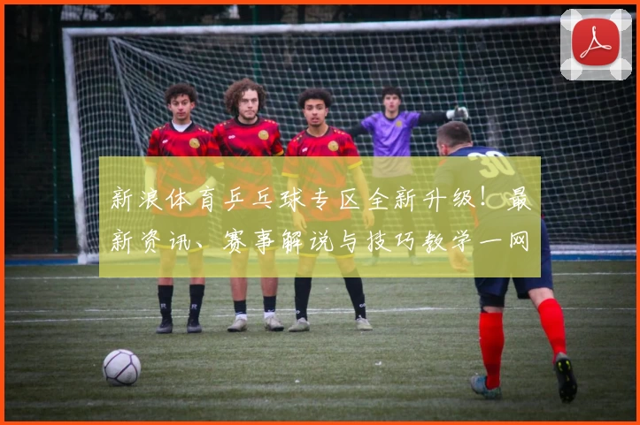 新浪体育乒乓球专区全新升级！最新资讯、赛事解说与技巧教学一网打尽