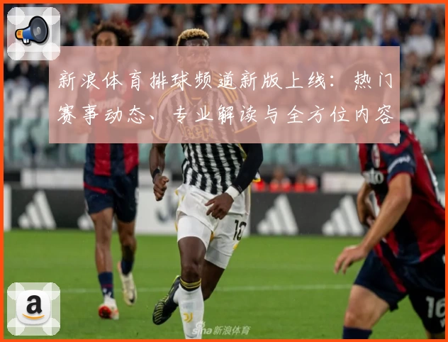 新浪体育排球频道新版上线：热门赛事动态、专业解读与全方位内容体验