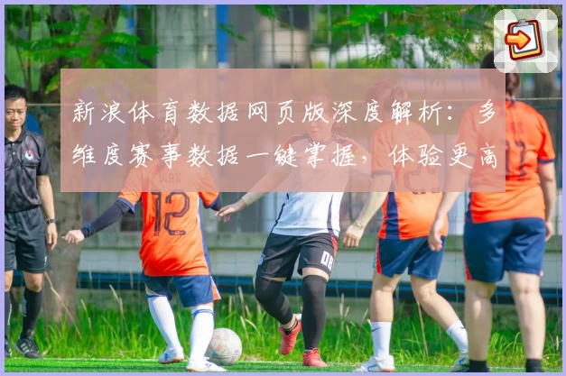 新浪体育数据网页版深度解析：多维度赛事数据一键掌握，体验更高效的运动分析助手