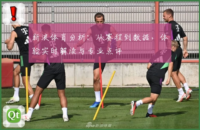 新浪体育分析：从赛程到数据，体验实时解读与专业点评